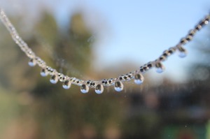Handmade necklace of raindrops - magical powers not guaranteed!